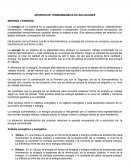 APUNTES DE TERMODINÁMICA DE SOLUCIONES ENERGÍA Y EXERGÍA
