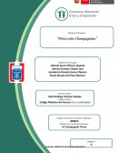 PORTAFOLIO DEL PROYECTO DE EMPRENDIMIENTO