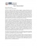 Bonos de carbono: Una herramienta para combatir las externalidades ambientales