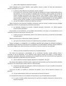 ¿Cómo están integrados los derechos humanos?