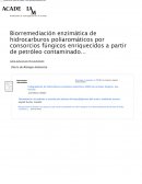 Biorremediación enzimática de hidrocarburos poliaromáticos por consorcios fúngicos enriquecidos a partir de petróleo contaminado