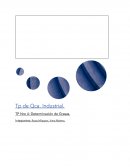 Trabajo Practico Quimica Industrial