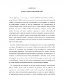 Las redes sociales y los problemas interpersonales