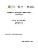 ANALISIS CRITICO REFLEXIVO: CAPITULOS 7,8 Y 9 Philipe Perrenoud