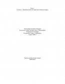 Programa de Psicología Pensamiento Lógico y Matemático