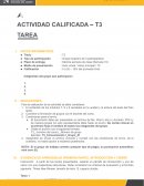ACTIVIDAD CALIFICADA – T3