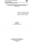 EVALUACIÓN DEL RECURSO GENÉTICO, DE LÍNEAS COMERCIALES DE CONEJOS, BIOTIPO CARNE EN LA PROVINCIA DEL SUMAPAZ, CUNDINAMARCA