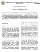 Informe quimica analitica