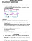 Resumen economía CBC