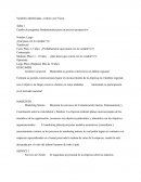 Variables identificadas a futuro con Frizza