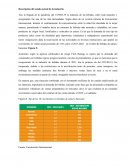 Sector de bebidas naturales