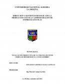 Evaluacion productiva de la crianza de pavos criollos mejorados y la linea hybrid