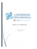 La oferta y la demanda ¿Que establece la ley de oferta?