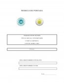 Plantilla de corrección del tribunal* Presentación y formato