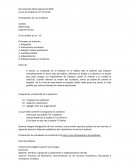 Auditores en Formación