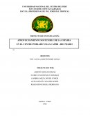 APROVECHAMIENTO SOSTENIBLE DE LA COPAIBA EN EL CENTRO POBLADO VILLA CAPIRI - RÍO NEGRO