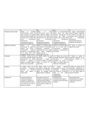 Rúbrica macroproyecto