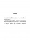 Prevención de riegos y daños trabjo infantil