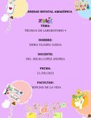 PÉNDULO PRÁCTICA DE LABORATORIO DE FÍSICA