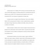 Briefing Caso Práctico SEM y SEO