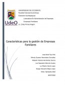 Empresas Familiares Gestion e Inicio