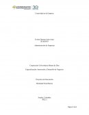 Creatividad en la empresa