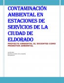 PROYECTO AMBIENTAL EL DOCENTES COMO PROMOTOR AMBIENTAL