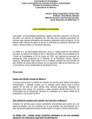 CASO INVERSIÓN EXTRANJERA