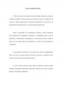 Ensayo Logica Computacional