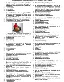 PRUEBA SABER#6 - UNDÉCIMO GRADO (11°) - C. SOCIALES s/r