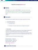 Tecnologias y las claves del exito