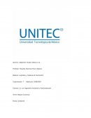 Logistica y cadena de suministro