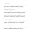 Caso electronica Scott