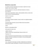 Metabolismo posprandial