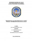 MONOGRAFÍA DE LAS CARACTERÍSTICAS DE LA FAMILIA PERUANA Y DETERMINANTES SOCIALES DE LA SALUD