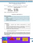 LABORATORIO No. 2 ¿Cómo separar y analizar una mezcla de materiales?