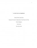 LA LENGUA DE LAS MARIPOSAS