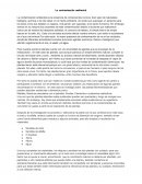 La contaminación ambiental