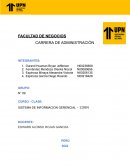 SISISTEMA DE INFORMACION GERENCIAL