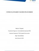 Gerencia Financiera Y Del Capital De Inversión