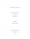 Actividad evaluativa #2: Cultura local y arte