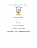 Derecho administrativo. Actividad. Resumen