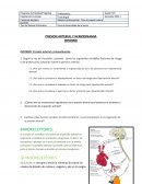 PRESION ARTERIAL Y HEMODINAMIA