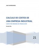 Trabajo individual: Cálculo de costos en una empresa industrial
