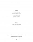 Desarrollo de una Auditoría Administrativa