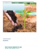 Contaminacion de suelo