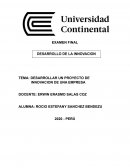 DESARROLLAR UN PROYECTO DE INNOVACION DE UNA EMPRESA