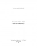 DESARROLLO LOCAL EN EL PAIS