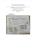 Plan saneamineto de un establecimiento ejemplo