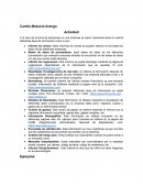 Actividad Sistema de Informacion